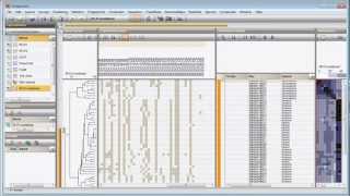 Combined analysis of fingerprint data BioNumerics 7 [upl. by Rika]