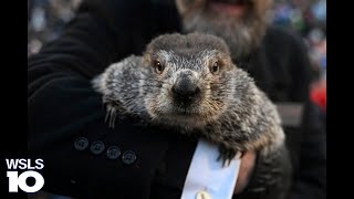 WATCH LIVE Will Punxsutawney Phil see his shadow [upl. by Alistair]