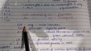 pituitary gland hormonespgt biology neet cbsc biologytutor biologyteacher [upl. by Carlie685]