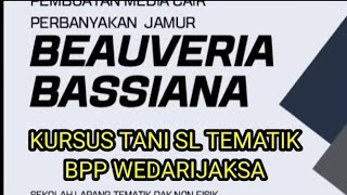 PENGEMBANGAN JAMUR BEAUVERIA BASSIANA  Kursus Tani SL Tematik BPP Wedarijaksa [upl. by Barrington606]