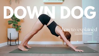 Down Dog EXPLAINED  Downward Dog Yoga Pose StepbyStep Guide for Beginners 5Minute Tutorial [upl. by Carter]