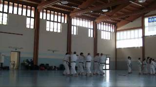 Karate Bassai Sho kata bunkai  M° Alessandro Caizzo [upl. by Rehpotsirhcnhoj65]