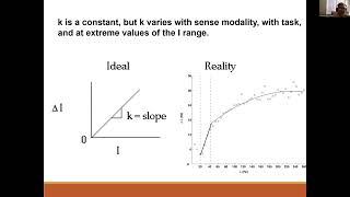 EXP3204 Psychophysics Part 3 [upl. by Ednutey]