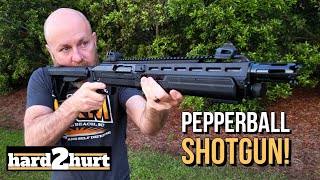 Testing This LessLethal Home Defense Shotgun  Umarex T4E HDX Review [upl. by Attegroeg63]