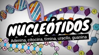 NUCLEÓTIDOS del ADN y ARN⚡¿que son Fácil y sencillo en 3 minutos [upl. by Reynard]