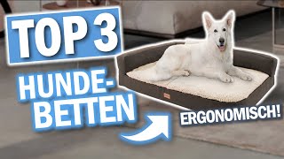 Die besten HUNDEBETTEN 2024  Beste Hundebetten Hundesofas [upl. by Callie645]