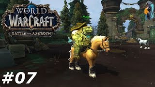 Top 10 Armor Sets In World Of Warcraft [upl. by Eisset]