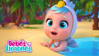 VERANO PLAYA y Bebés Llorones Lágrimas Mágicas ⛱💕 CAPÍTULOS COMPLETOS para niños en español [upl. by Bernstein]