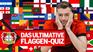 Kennt ein BundesligaTorwart wirklich alle Flaggen der Welt  🇿🇦🇰🇮🇸🇪 Lukas Hradecky im FahnenQUIZ [upl. by Hardie]