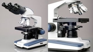 AmScope Biological Binocular Siedentopf Compound Microscope With 3D Double Layer Mechanical Stage [upl. by Osborne941]