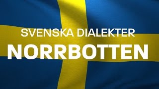 Svenska Dialekter – Norrbottniska Norrländska Voice To Me [upl. by Schecter]