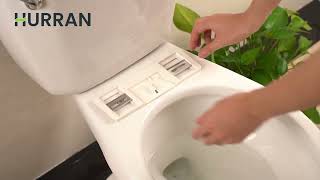 How To Install Electronic Bidet Toilet Seat [upl. by Fanni]