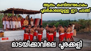 മാടയിക്കാവിലെ പൂരക്കളി Poorakkali  Madayi Kavu kaali shiva madayipara pooram chamundi [upl. by Shig503]