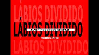 LABIOS DIVIDIDOS VERSÃO FORROZINHO ALVIN PODEROSO CHEFÃO [upl. by Kant733]