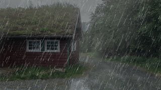 Lluvia Relajante para Dormir  Sonido de Lluvia sin Truenos en Bosque Brumoso  ASMR [upl. by Marmawke]