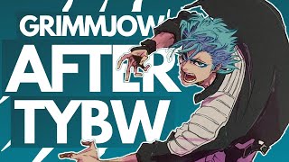 What Happened to Grimmjow After TYBW His Appearance in CFYOW EXPLAINED  Bleach Discussion [upl. by Eejan]