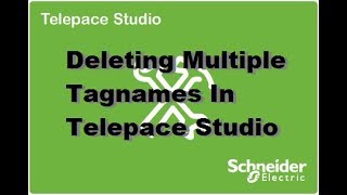 Telepace Studio  Delete Multiple Tagnames [upl. by Carlina]