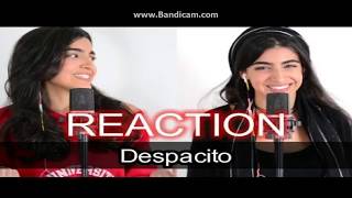 quotDESPACITOquot BY LUCIANA ZOGBI ft MARIA [upl. by Dlanod735]