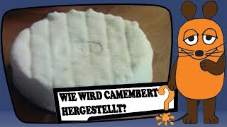 Wie wird Camembert hergestellt [upl. by Neik480]