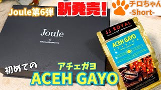 joule第六弾 ビターチョコのスイートポテトとACEH GAYOコーヒーを飲んでみた。４Kshorts [upl. by Aicilas384]