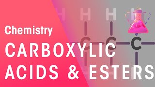 Carboxylic Acids Typical Acids and Esters  Organic Chemistry  Chemistry  FuseSchool [upl. by Eidarb]