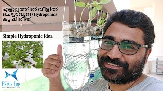 എളുപ്പത്തിൽ വീട്ടിൽ ചെയ്യാവുന്ന hydroponics കൃഷിരീതി  Simple Home Hydroponics in Malayalam  DIY [upl. by Allicserp549]