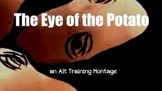 The Eye of the Potato  A GW2 DraftBuilding Training Montage [upl. by Aserehtairam411]