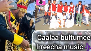 Caalaa bultumee irreecha hora finfinnee 2024 [upl. by Yoccm399]