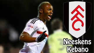 Neeskens Kebano  Best Moments Fulham 201617 Goals Assists Skills Key Moments [upl. by Phonsa]