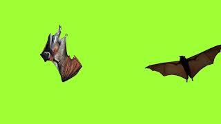 Flying Bats Green Screen Animation  Free Download  No Copyright  Stop Motion  Animals [upl. by Chabot373]