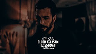 Zehra Gülüç  Öldüm Ağlasam Ne Olur Cover Mix [upl. by Aihsemaj]