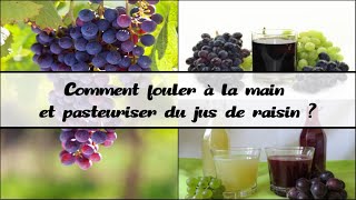 Autonomie fouler du jus de 🍇 raisin pasteurisé amp à lancienne 🍇 Vignes du jardin potager [upl. by Resor]