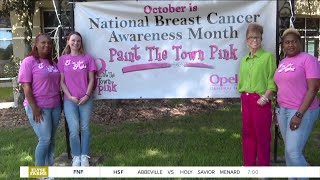 Opelousas General Health System kicks off their Paint the town Pink Campaign [upl. by Attenat]