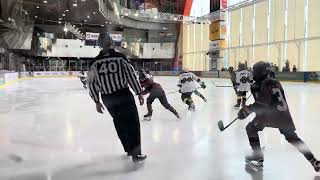 2024 Mega ice hockey‘s U11 HK TIGERS HOCKEY CLUB BS DROP BEAR 120 [upl. by Holman465]