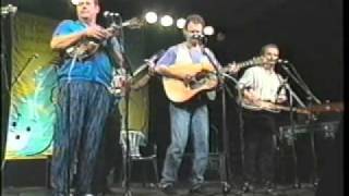 Seldom Scene 1996  quotOur Last Goodbyequot [upl. by Sesom]