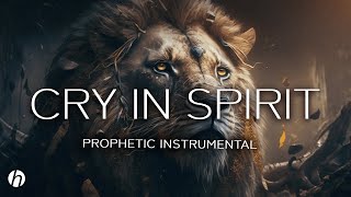 CRY IN SPIRIT PROPHETIC WORSHIP INSTRUMENTAL  THEOPHILUS SUNDAY MEDITATION MUSIC [upl. by Limak182]