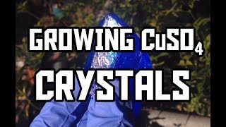 Making Copper Sulfate Crystals [upl. by Aksehcnarf]