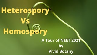 NEET 2021 Botany Solved Paper  Plant kingdom  Pteridophyta  Heterospory and Homospory [upl. by Goodrich]