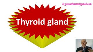 Thyroid gland  Capsule  Retrosternal goiter  Relations  Verves related  Superior thyroid artery [upl. by Echikson]