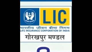 LIC Policyholder is live \LIC best plan details lic no 1 plan 2024 like [upl. by Klara]