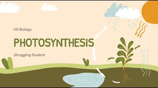 Photosynthesis [upl. by Eugenia]