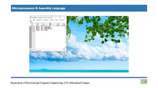 Airthmetic InstructionI Lecture 19 [upl. by Krahmer]