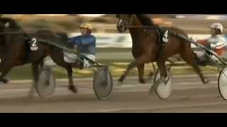 Breeders Crown 20132jährige StutenStacelitaJean Pierre Dubois [upl. by Orteip]