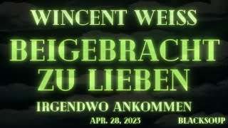 Wincent Weiss  Beigebracht zu lieben Lyrics [upl. by Oremo834]