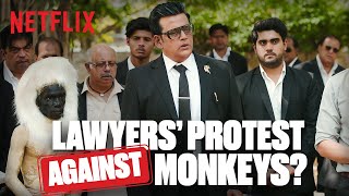 Ravi Kishan amp The Lawyers Go On STRIKE Against Monkeys 😱 in Maamla Legal Hai [upl. by Kanter]