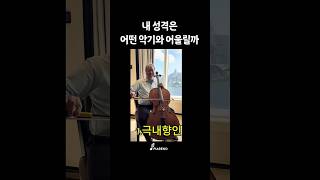 재미로보는 나만의 악기고르기 violin 바이올린 [upl. by Enomahs]