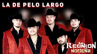 La De Pelo Largo Karaoke La Reunión Nortena Norteño Sax kikemusicjaimeenriquez [upl. by Hpejsoj]