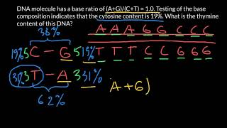 How to find DNA composition Chargaffs rule [upl. by Ellebasi]