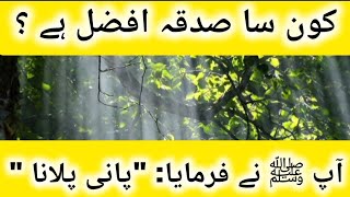 Nabi ﷺ Ne Farmaya❤️ Ibn e Majah Hadees Hadees Sharif komal kashif islamic channel [upl. by Rosemare]