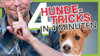 4 HUNDETRICKS IN 4 MINUTEN [upl. by Hammond124]